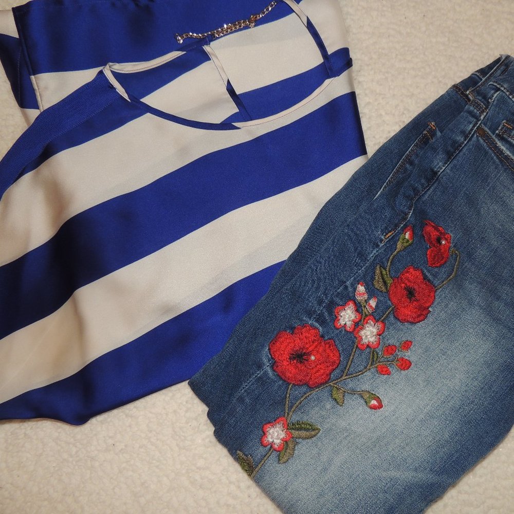 Blue and White The Limited Blouse
